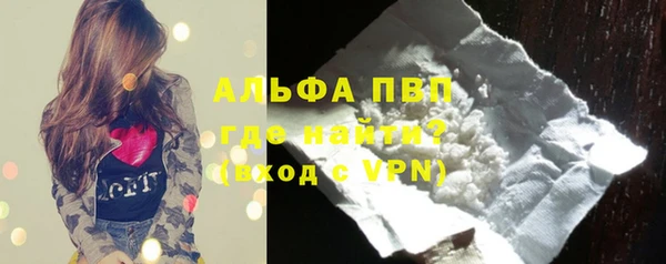 гидра Новозыбков