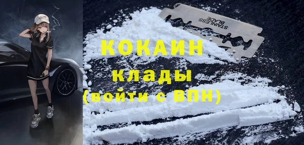 гидра Новозыбков