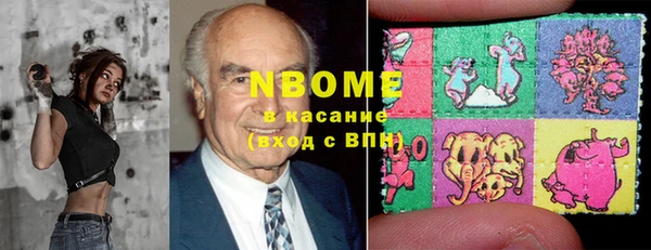 гидра Новозыбков
