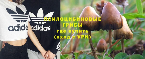 spice Няндома