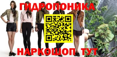 гидра Бийск