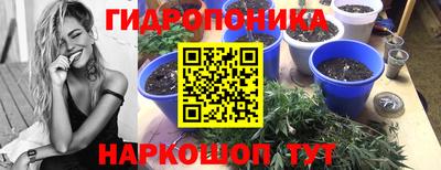 тгк Волгодонск
