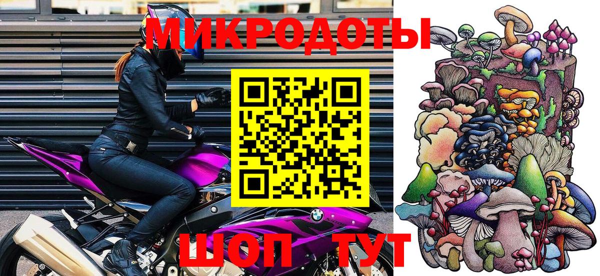 Псилоцибиновые грибы Psilocybine cubensis Заводоуковск