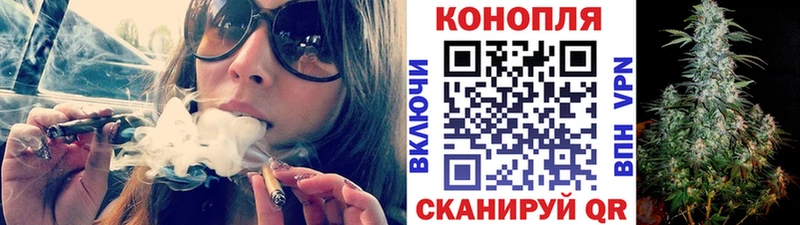 купить   Заводоуковск  kraken рабочий сайт  Бошки марихуана White Widow 