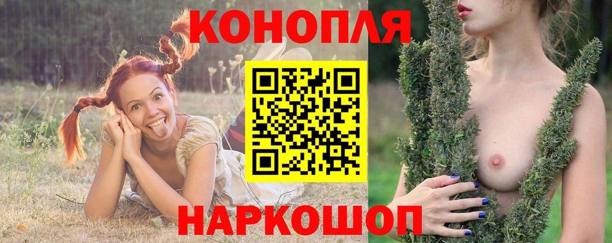 Каннабис планчик  МАРИХУАНА индика  Бошки Шишки Bruce Banner  Каннабис гибрид  Заводоуковск 